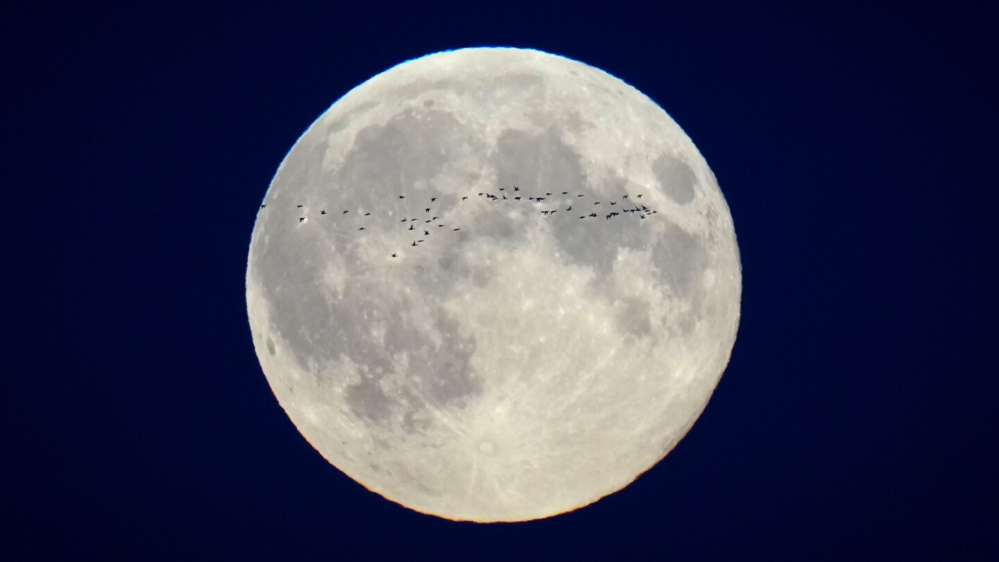Here's a look at moon landing hits and misses