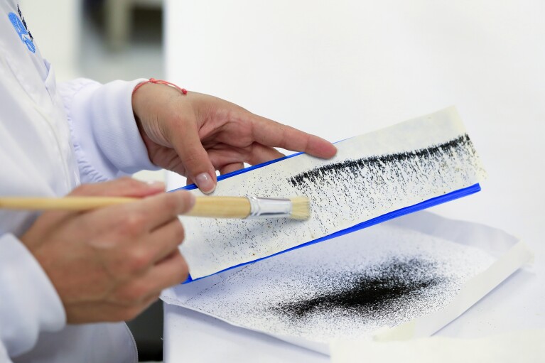 A lab technician uses a brush to scrape off dried mosquito eggs inside a World Mosquito Program factory, in Medellin, Colombia, Thursday, Aug. 10, 2023. (AP Photo/Jaime Saldarriaga)