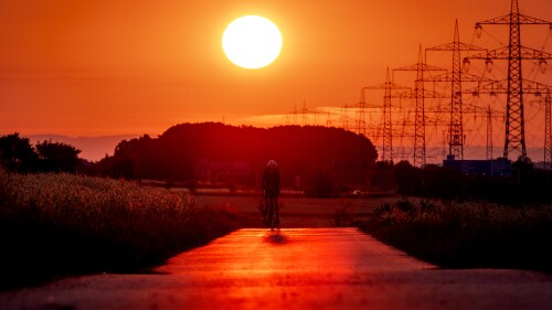 FILE - A man rides his bike on a small road in the outskirts of Frankfurt, Germany, as the sun rises on July 9, 2023. Scientists say crushing temperatures that blanketed Europe last summer may have led to more than 61,000 heat-related deaths, highlighting the need for governments to address the health impacts of global warming. (AP Photo/Michael Probst, File)