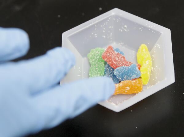 Edible marijuana samples are set aside for evaluation at a cannabis testing laboratory in Santa Ana, Calif., on Wednesday, Aug. 22, 2018. The number of young kids, especially toddlers, who accidentally ate marijuana-laced treats rose sharply over five years as pot became legal in more places in the U.S., according to an analysis published Tuesday, Jan. 3, 2022, in the journal Pediatrics. (AP Photo/Chris Carlson, File)