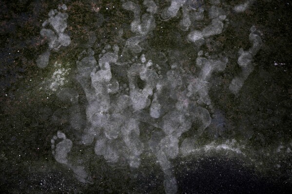 Footprints are seen on the moss ridden roof of Jama Masjid during Eid al-Adha prayers, in New Delhi, India, Thursday, June 29, 2023. (AP Photo/Manish Swarup)