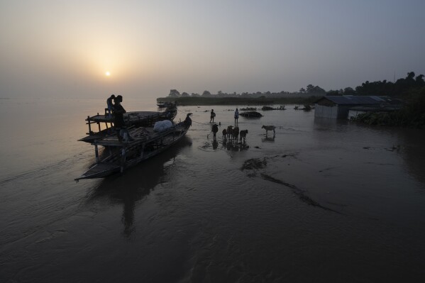 Villagers prepare to leave their submerged house amid the floodwaters in Sandahkhaiti, a floating island village in the Brahmaputra River in Morigaon district, Assam, India, Wednesday, Aug. 30, 2023. (AP Photo/Anupam Nath)