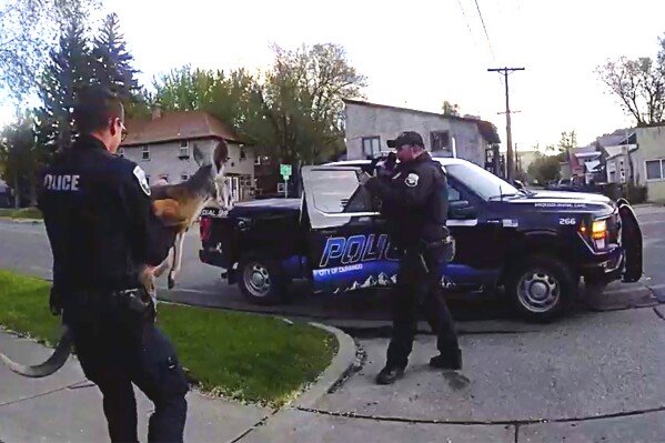 This still image from video provided by the Durango Police Department shows Irwin the pet kangaroo is seen on the loose Monday, March 19, 2025, in Durango, Colo. (Durango Police Department via AP)