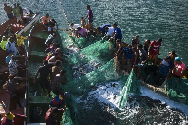 Fisherwomen and men pull a net in full of fish off the coast of Chuao, Venezuela, Wednesday, June 7, 2023. Many of the women lost their jobs in the area’s tourism sector and the coronavirus pandemic worsened their living conditions. (AP Photo/Matias Delacroix)