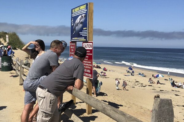FILE - In this Sept. 15, 2018 file photo, people look out at the shore after a shark attack at Newcomb Hollow Beach in Wellfleet, Mass., where a 26-year-old was attacked and later died at a hospital. Local chamber of commerce data suggests Cape Cod lodging and beach visit numbers are down in summer 2019, after uncommon tornados hit just one year after a pair of shark attacks. (AP Photo/Susan Haigh, File)