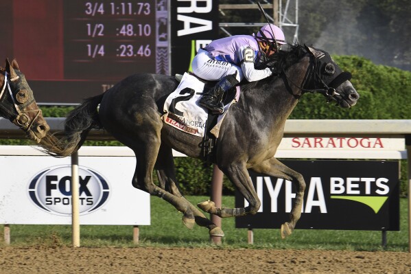 In this photo provided by NYRA, Arcangelo, with Javier Castellano aboard, wins the Travers Stakes horse race at Saratoga Race Course in Saratoga Springs, N.Y., Saturday, Aug. 26, 2023. ( Janet Garaguso/NYRA via AP)