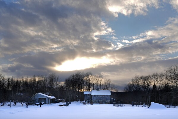 The home of organic wild blueberry farmers Hugh and Jenny Lassen is seen Monday, Feb. 10, 2025, in Cherryfield, Maine. (AP Photo/Robert F. Bukaty)