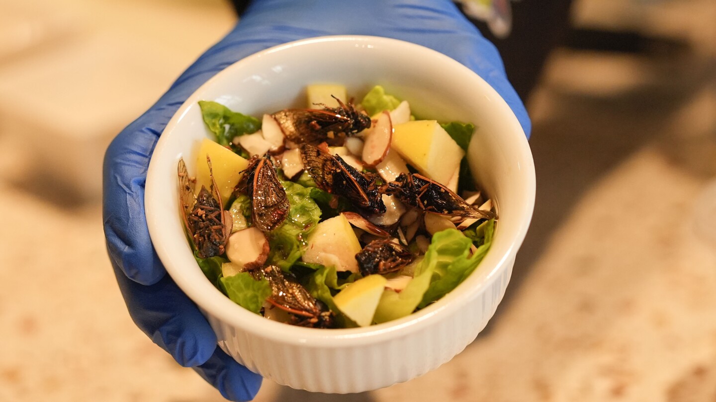 Искате ли салата от цикада? Чудовищните малки шумотворци се спускат в менюто на Ню Орлиънс