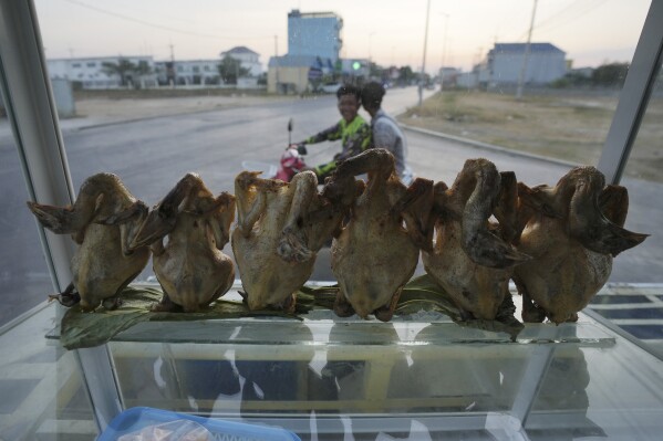 Local boys ride motorbikes past yakitori being sold at a store on the outskirts of Phnom Penh, Cambodia, on Monday, February 12, 2024. A new case of bird flu has been reported in Cambodia, with the death of a nine-year-old brother who died from bird flu. Last week's virus.  (AP Photo/Hen Sinis)