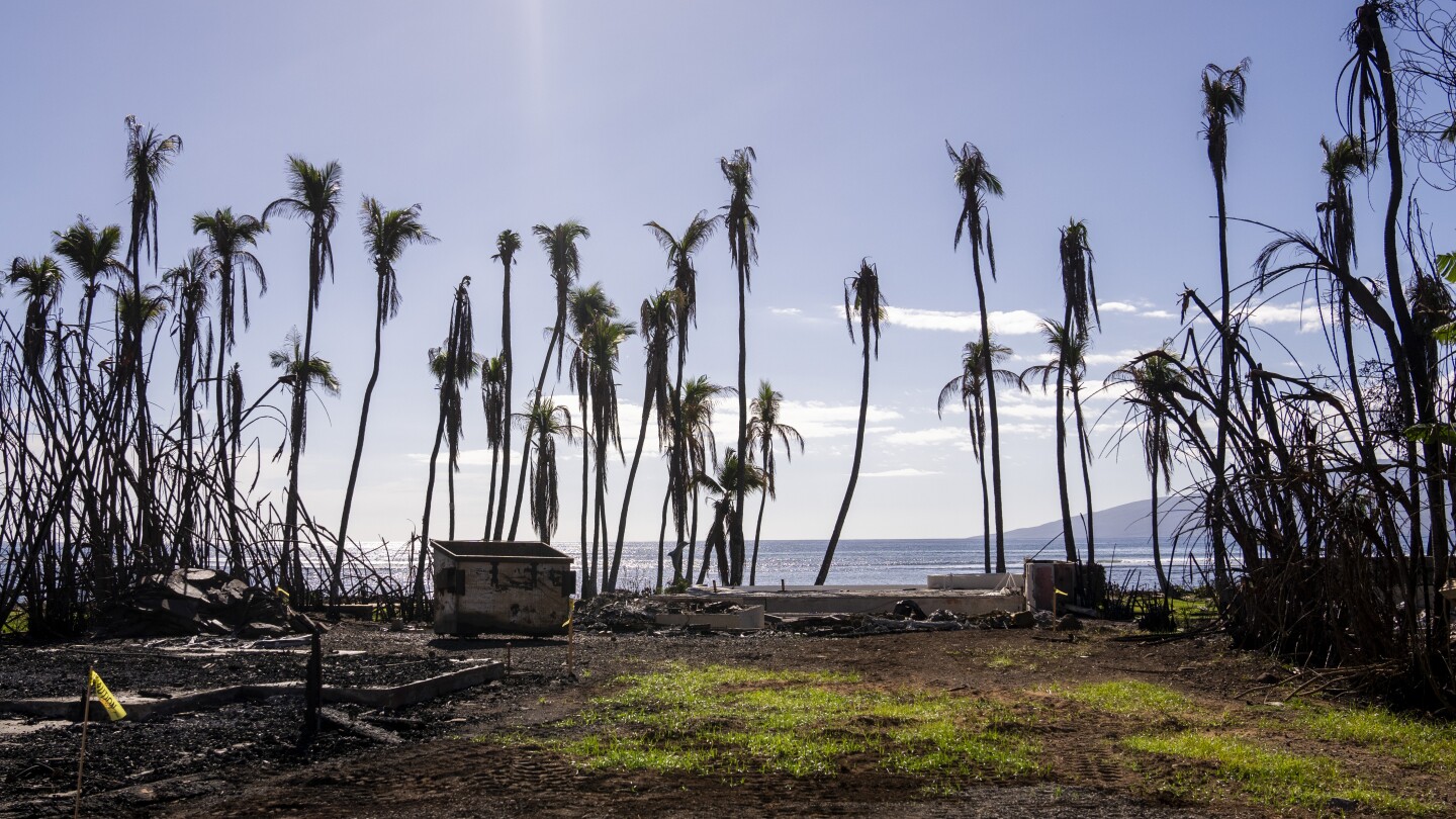 Първият бюджет на губернатора на Хавай след горския пожар на Мауи включва средства за възстановяване и предотвратяване на пожари