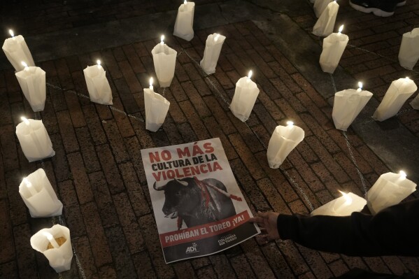 A protester places a poster of a bull with a message that reads in Spanish: "No more culture of violence" near a glimmering of candles, during a protest against bullfighting, which has been temporarily suspended as Congress debates its legality, in Bogota, Colombia, Friday, May 24, 2024. (AP Photo/Fernando Vergara)