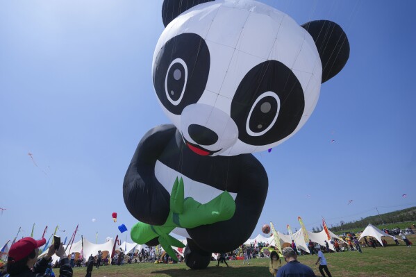 A panda-shaped kite flies at the 41st International Kite Festival in Weifang, Shandong Province of China, Saturday, April 20, 2024. (AP Photo/Tatan Syuflana)