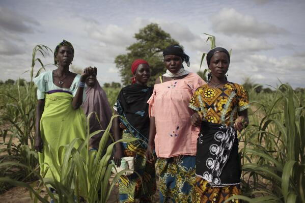 FILE — Young girls stand in a field of millet outside the remote village of Hawkantaki, Niger, July 19, 2012. A group of international aid organizations said Tuesday April 5, 2022 that West Africa is facing its worst food crisis in a decade due to increasing conflict, drought, flooding and the crisis in Ukraine that is affecting food prices and worsening an already disastrous situation.(AP Photo/Jerome Delay, File)