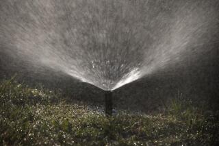 FILE - A sprinkler waters the lawn of a home on Wednesday, May 18, 2016, in Santa Ana, Calif. T On Tuesday, Dec. 13, 2022, the Metropolitan Water District declared a regional drought emergency for all of Southern California. (AP Photo/Jae C. Hong, File)