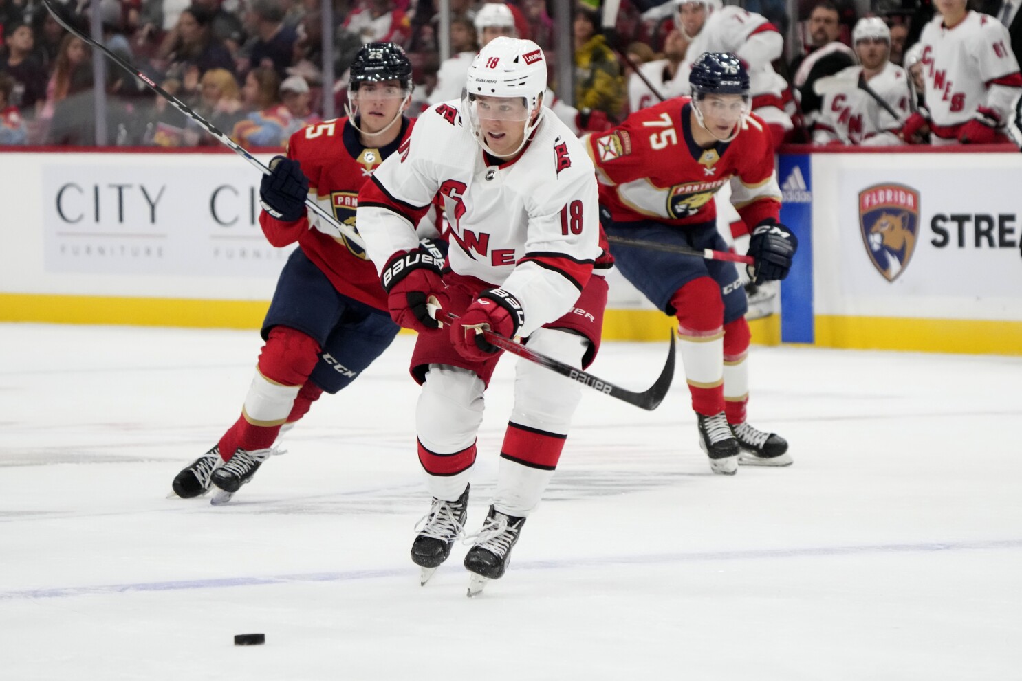 Preseason Games Three and Four - Hurricanes @ Lightning and Panthers  Preview - Canes Country