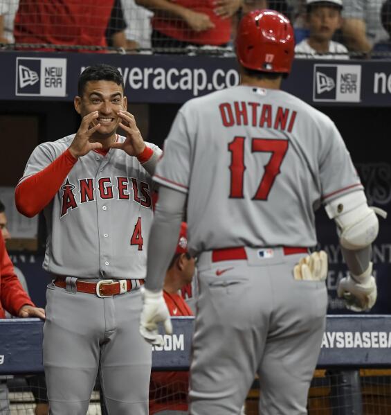 Shohei Ohtani Thrown Game Used Baseball Hit By Pitch HBP Mark