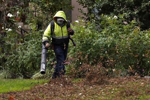 The problem with leaf blowers, and what you can do instead