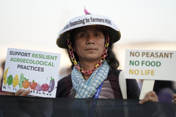 An activist demonstrates for financing farming now at the COP28 U.N. Climate Summit, Saturday, Dec. 9, 2023, in Dubai, United Arab Emirates. (AP Photo/Peter Dejong)