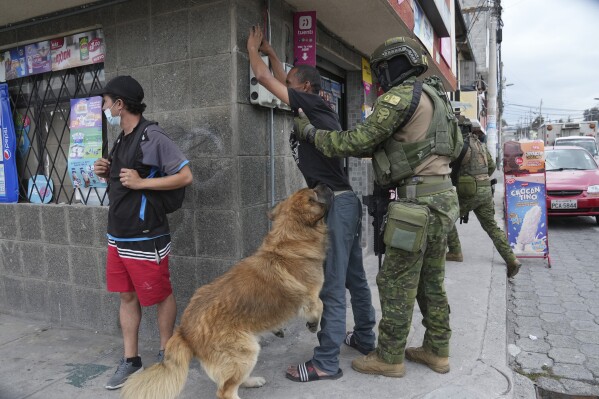 Soldiers stop a pedestrian to search for weapons as the man's dog jumps around, during military patrols in residential areas of northern Quito, Ecuador, Thursday, Jan. 11, 2024. President Daniel Noboa decreed Monday a national state of emergency due to a wave in crime, a measure that lets authorities suspend people's rights and mobilize the military. The government also imposed a curfew. (AP Photo/Dolores Ochoa)