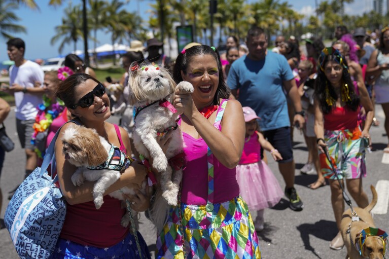 Owners and their costumed pets take part in the "Blocao" dog Carnival parade in Rio de Janeiro, Brazil, Saturday, Feb. 10, 2024. (AP Photo/Silvia Izquierdo)