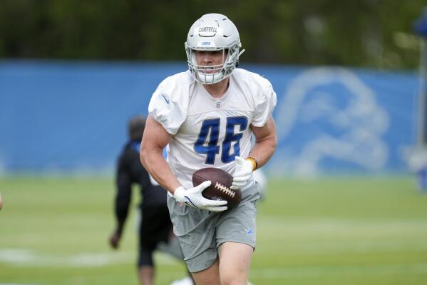 facial portrait of nfl detroit lions uniform - Playground AI