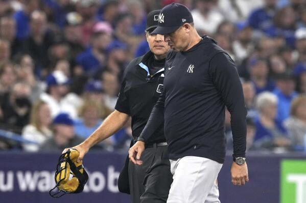 MLB umpire suspended for grabbing player