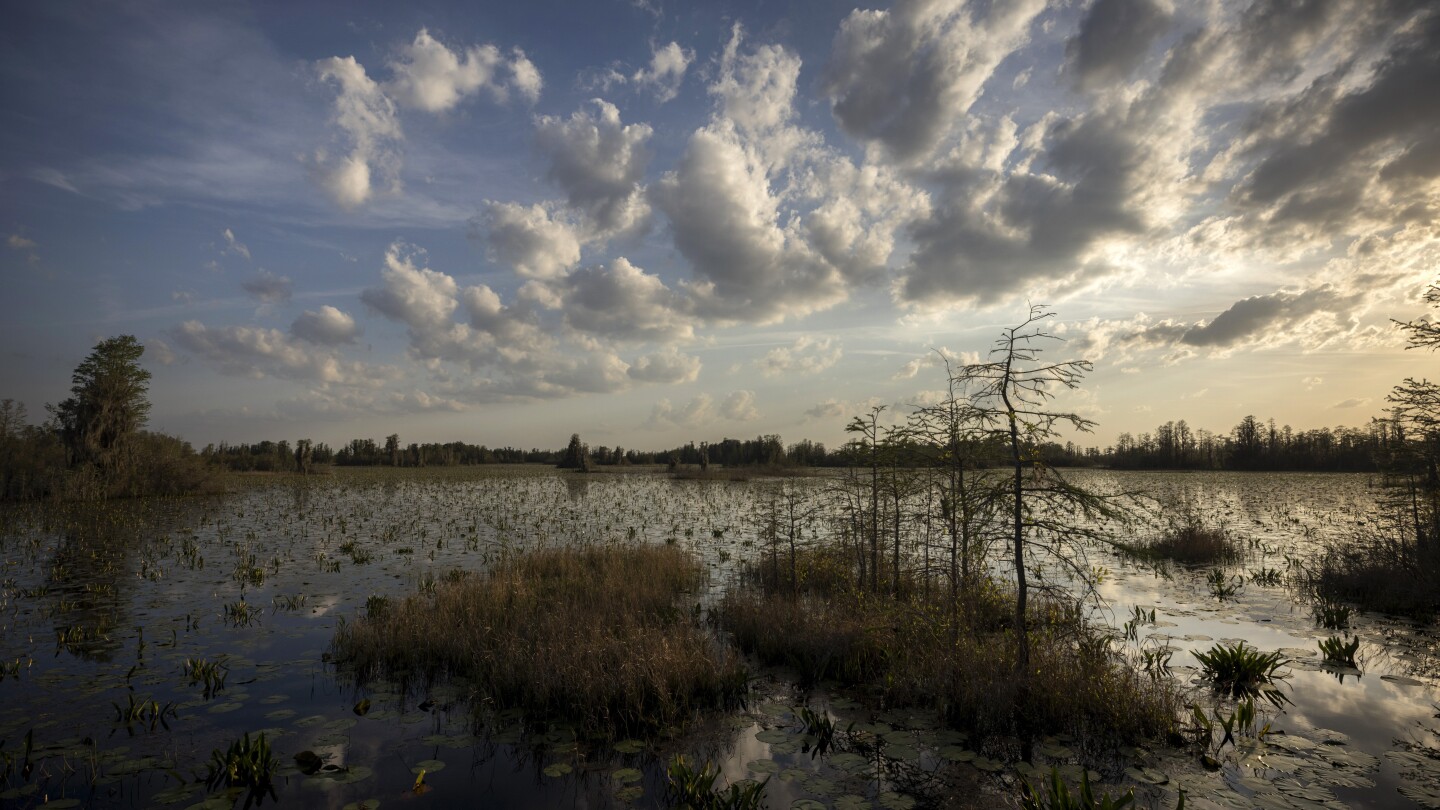 Conservation group makes $60M land deal to end mining threat outside Okefenokee Swamp