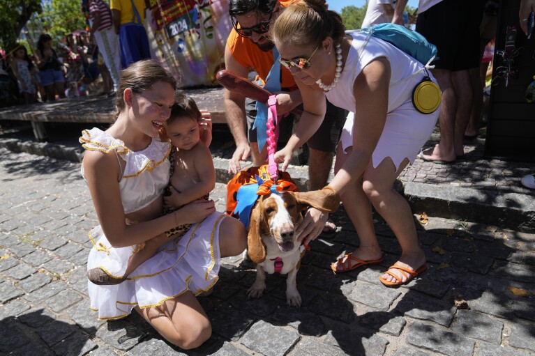 Revelers pet a costumed dog during the "Blocao" dog Carnival parade in Rio de Janeiro, Brazil, Saturday, Feb. 10, 2024. (AP Photo/Silvia Izquierdo)