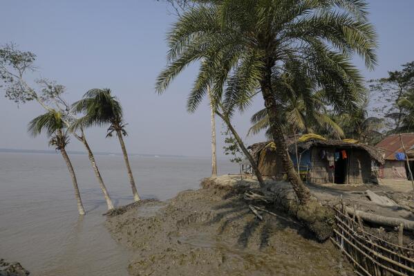 Houses and trees affected during the 2020 Cyclone Amphan sit on the water's edge at Chila Bazar in Mongla, Bangladesh, March 3, 2022. Mongla is located near the world's largest mangrove forest Sundarbans. The town was once vulnerable to floods and river erosion, but now it has become more resilient with improved infrastructure against high tides and erosion. (AP Photo/Mahmud Hossain Opu)