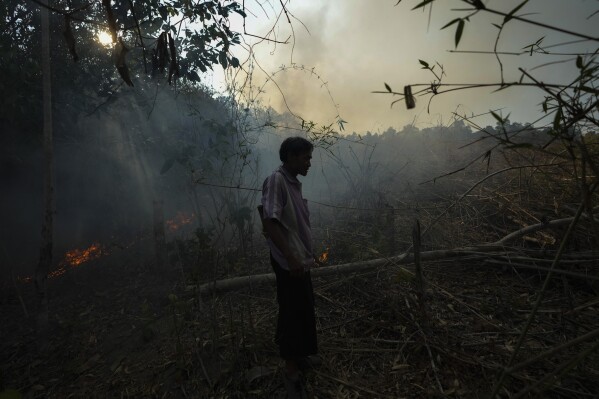 A member of the Pakanyo tribe stands near a fire set in protected forest land at Chiang Mai province, Thailand, Monday, April 22, 2024. The Pakanyo, who have carried out the practice of controlled burns as long as they have lived in these hills near Chiang Mai, a top tourist destination, say they get blamed by city dwellers for fouling the air and damaging forest land. (AP Photo/Sakchai Lalit)