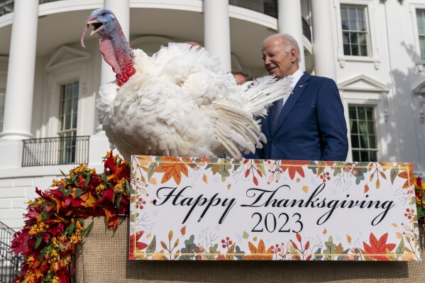 President Joe Biden stands next to Liberty, one of the two national Thanksgiving turkeys, after pardoning them during a ceremony on the South Lawn of the White House in Washington, Monday, Nov. 20, 2023. (AP Photo/Andrew Harnik)