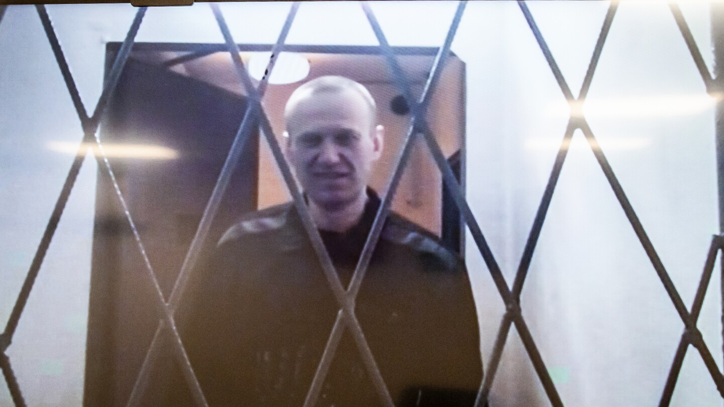 Kremlin foe Navalny, smiling and joking, appears in court via video