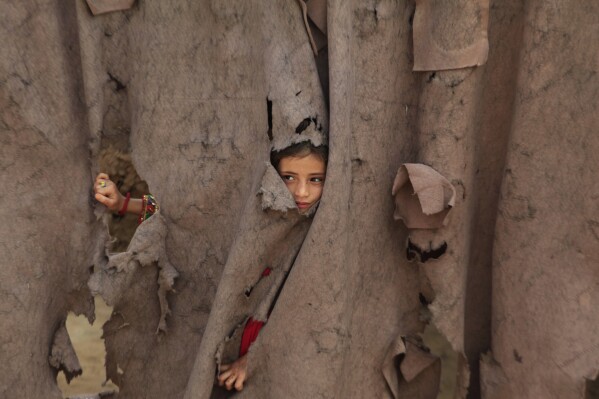 An Afghan refugee girl peers through a torn curtain at the entrance of her home at Kababayan refugee camp in Peshawar, Pakistan, April 8, 2025. (AP Photo/Muhammad Sajjad)