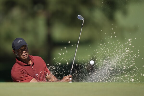 Tiger Woods hits from the bunker on the seventh hole during final round at the Masters golf tournament at Augusta National Golf Club Sunday, April 14, 2024, in Augusta, Ga. (AP Photo/Charlie Riedel)