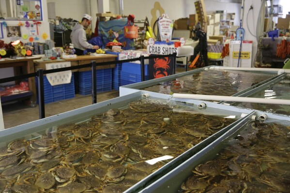 California's commercial Dungeness crab season delayed for the