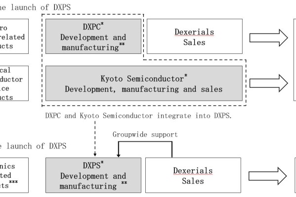 Change in sales structure after the launch of DXPS (Graphic: Business Wire)