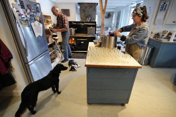 Organic wild blueberry farmers Hugh and Jenny Lassen can jars of blueberry spread at their home, Monday, Feb. 10, 2025, in Cherryfield, Maine. (AP Photo/Robert F. Bukaty)