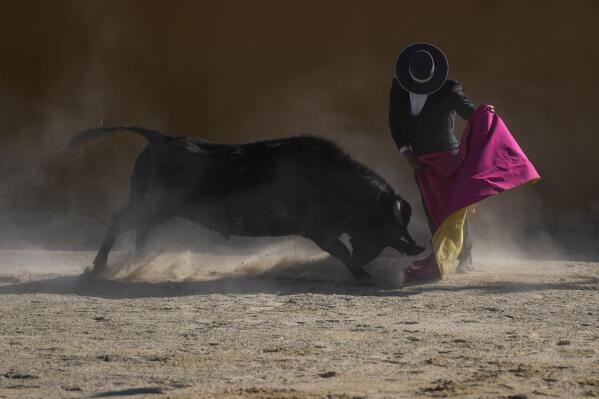 HOLD FOR STORY BY MANUEL RUEDA Former Colombian bullfighter Sebastian Vargas performs a pass during his bullfight at a fair in Vista Hermosa farm in Villa Pinzón, Colombia, Saturday, February 25, 2023. According to rancher Juan Carlos García, host of the fair, this was called for collect funds and donations to defend bullfighting in Colombia. (AP Photo/Fernando Vergara)
