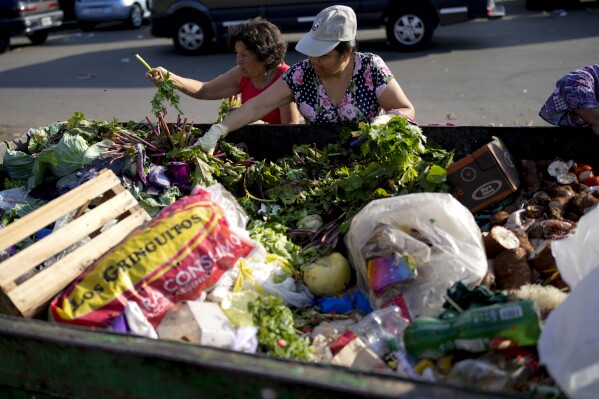Women collect vegetables to take home after they were discarded by venders at a market on the outskirts of Buenos Aires, Argentina, Wednesday, Jan. 10, 2024. (AP Photo/Natacha Pisarenko)