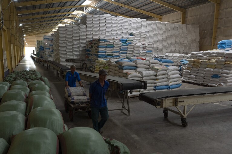 2024 年 1 月 26 日星期五，越南芹苴的一家大米出口公司 Hoang Minh Nhat 的仓库里装满了准备装运的大米，两名员工在仓库里工作。湄公河三角洲，越南 90% 的出口大米都是在这里种植的，是世界上最容易受到气候变化影响的地区之一。  （美联社照片/Jae C. Hong）