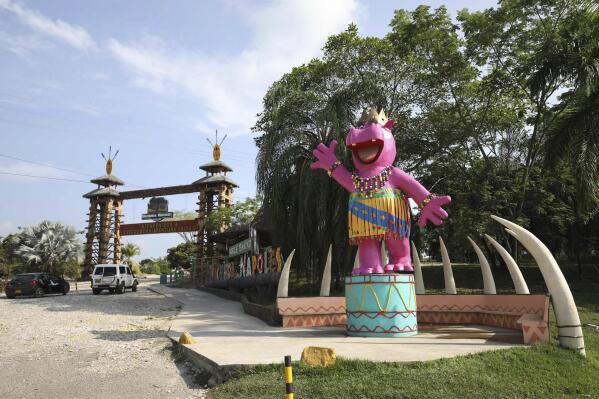 FILE—In this file photo from Feb. 4, 2021, a pink statue of a hippo greets tourists at Hacienda Napoles Park in Puerto Triunfo, Colombia. Hacienda Napoles was once a private zoo with illegally imported animals that belonged to drug trafficker Pablo Escobar. A U.S. court order says the offspring of hippos once owned by  Escobar can be recognized as people with legal rights in the U.S. The case involves a lawsuit against the Colombian government over whether to kill or sterilize the hippos whose numbers are growing at a fast pace. (AP Photo/Fernando Vergara, File)