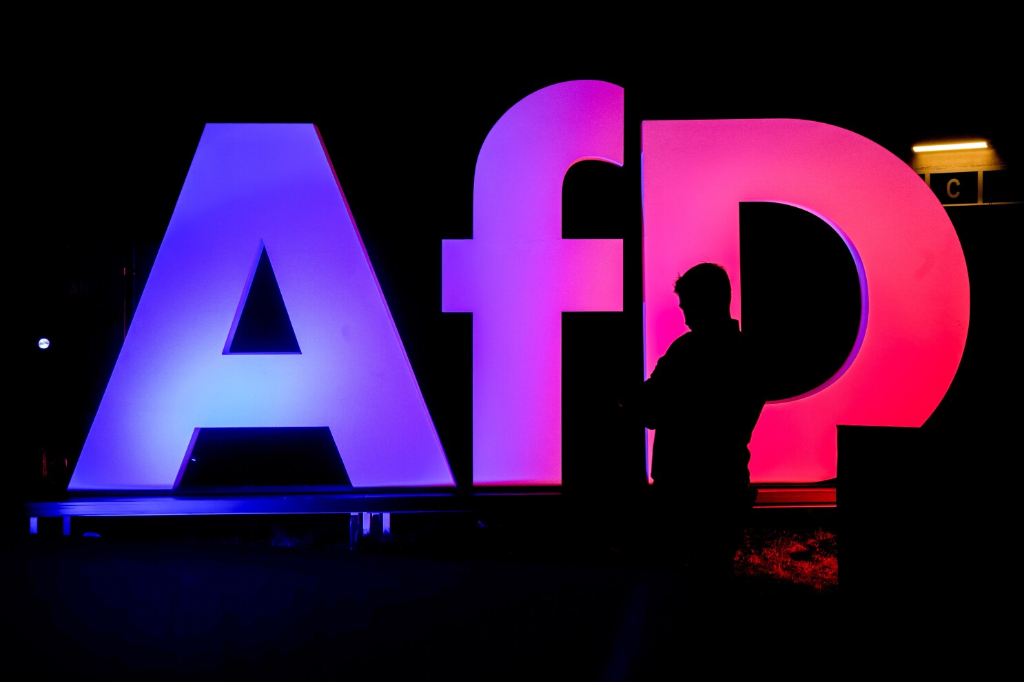 Alternative for Germany is listed as a 'right-wing extremist' party by domestic intelligence agency