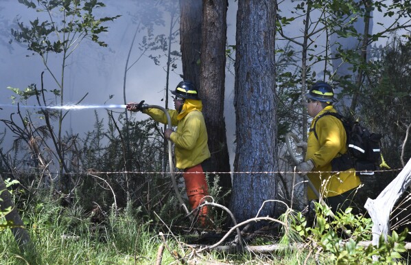 Members of a Hawaii Department of Land and Natural Resources wildland firefighting crew on Maui battle a fire in Kula, Hawaii. Several Hawaii communities were forced to evacuate from wildfires that destroyed at least two homes as of Tuesday as a dry season mixed with strong wind gusts made for dangerous fire conditions. (Matthew Thayer/The Maui News via AP)