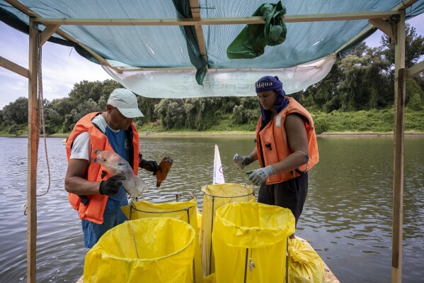Os voluntários separam o lixo coletado em seu barco enquanto participam do evento Plastic Cup perto de Tiszaroff, Hungria, na terça-feira, 1º de agosto de 2023. A competição anual reuniu cerca de 330 toneladas de resíduos do Tisza desde 2013. Seu objetivo é preservar o ambiente natural da Hungria, mas também evitar uma crescente crise global de resíduos plásticos, eliminando-os no início do ciclo. (Foto AP/Denes Erdos)