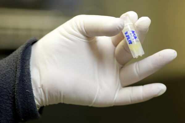 FILE - A lab worker holds a vial of frozen sperm at a fertility clinic, Oct. 2, 2018, in Fort Myers, Fla. A Florida bill to allow people to file wrongful death lawsuits over the death of a fetus was shelved Monday, Feb. 26, 2024, because of the political fallout from an Alabama Supreme Court decision that frozen embryos are legally protected children. (AP Photo/Lynne Sladky, File)