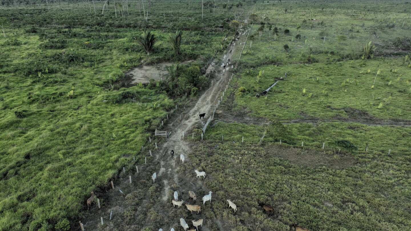 Brazil lawsuits link JBS to destruction of Amazon in protected area, seek millions in damages