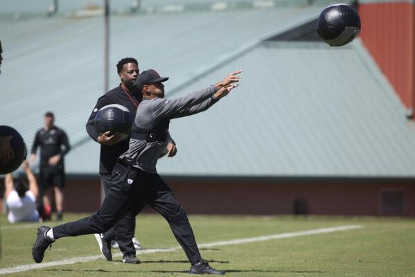 Falcons release Fowler following 7 1/2 sacks in 2 seasons