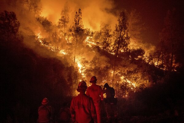 
              FILE - In this Aug. 7, 2018 file photo, firefighters monitor a backfire while battling the Ranch Fire, part of the Mendocino Complex Fire, near Ladoga, Calif. A Northern California fire department says a telecommunication's company hobbled Internet communications at a crucial command center set up to fight one of the state's largest wildfires. Radio station KQED reported Wednesday, Aug. 22, 2018 that Verizon acknowledged it wrongly limited data speed to the Santa Clara County Fire Department while its firefighters helped battle the state's largest-ever wildfire in Mendocino County three weeks ago. (AP Photo/Noah Berger, File)
            