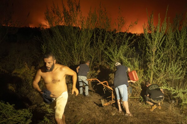 Residents try to clean the forest to prevent it from flames as fire advances in La Orotava in Tenerife, Canary Islands, Spain on Saturday, Aug. 19, 2023. (AP Photo/Arturo Rodriguez)