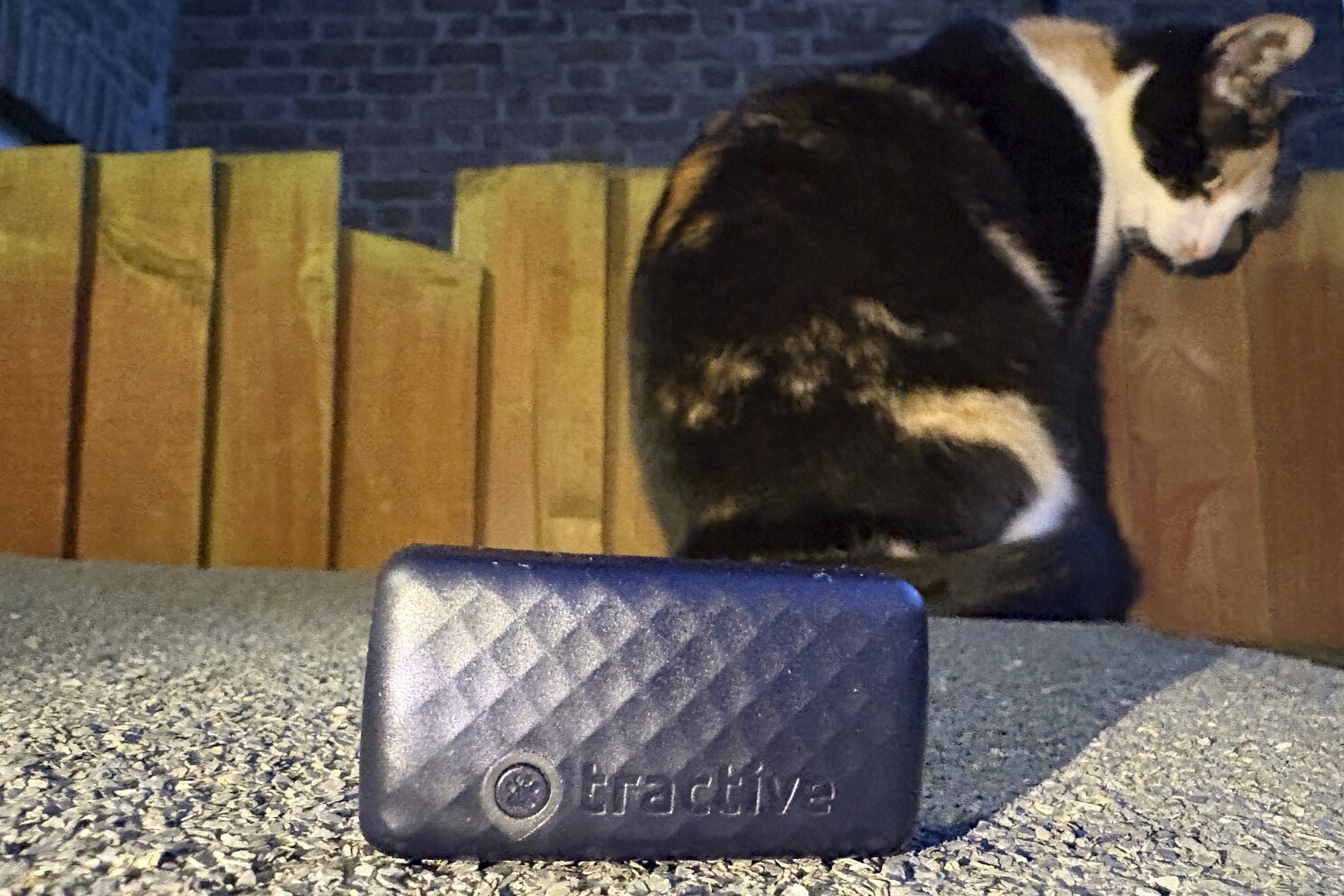 Tech tips for tracking pets